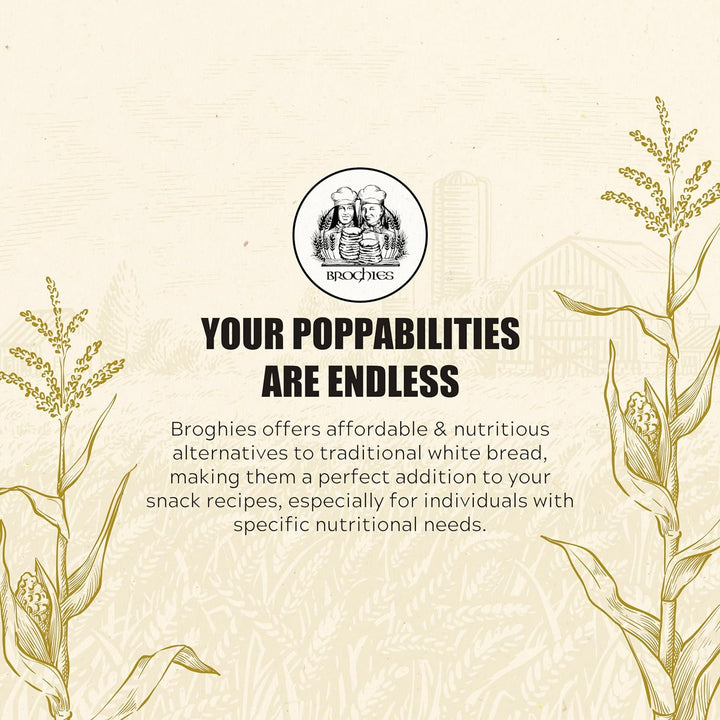 Broghies Wheat 14.2 oz - Vegan, Low-Calorie, Low-Carb, Keto-Friendly Crunchy Bread Substitute