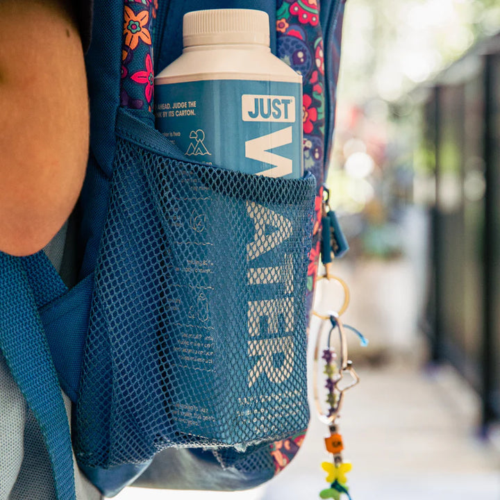 Just Water 16.9 oz - Sustainably Sourced Alkaline Spring Water in Eco-Friendly Plant-Based Carton